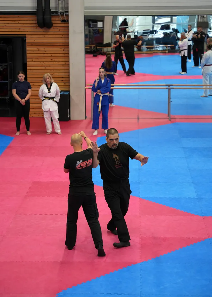 Kinetica - Faustabwehr 2